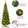 Shatchi Pre-Lit Artificial Slim Pencil Green Christmas Tree 240cm