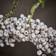 House Doctor Winter Wreath White Christmas Decoration