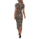 Shein Clasi Womens Leopard Print Round Neck Short Sleeve Dresses