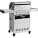 BURNHARD Fred Basic - Cast Iron