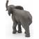 Papo Young Elephant 50225