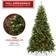 Casafield Lighted Green Christmas Tree 87"