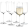 Holmegaard Bouquet Champagne Glass 29cl 6pcs