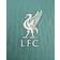 NIKE Men's Liverpool F.C. Strike Elite Dri-Fit ADV Football Knit Drill Top