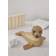 Spring Copenhagen Seal Anaana Oak Prydnadsfigur 17cm