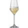 Spiegelau LifeStyle Champagne Glass 31cl 4pcs