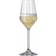 Spiegelau LifeStyle Champagneglas 31cl 4stk