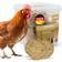 Eggersmann Feed Ball for Chicken XXL without Net 3kg