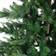 Casa Living Grandis Fir Green Christmas Tree 300cm