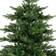 Casa Living Grandis Fir Green Christmas Tree 300cm