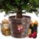 Kadax Plastic Holder for Holiday Brown Julgransfot 33.5cm 33.5cm