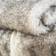 Catherine Lansfield Arctic Fox Cosy Faux Fur Blankets Grey (170x130cm)