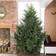 Samuel Alexander Glenshee Spruce Green Christmas Tree 240cm