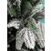 National Tree Company Andorra Flocked Green Christmas Tree 213cm