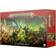 Games Workshop Warhammer Age of Sigmar Starter Set 2024 3rd Edition