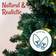 Christmas Tree World Pre-lit Arbor Vitae Green Christmas Tree 180cm
