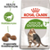 Royal Canin Active Life Outdoor Cat Food 10kg