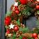 Dibor Starry Night Xmas Door Winter Autumn Wreath Multicolour Decoration 35cm