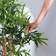 Amazon Basics Fake Bamboo with Pot Green Kunstig plante