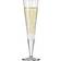 Ritzenhoff Goldnacht Champagneglas 20.5cl