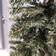 Samuel Alexander Tall Single Door Christmas Tree Arch in Green Decoration 243.8cm