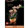 LEGO Botanical Collection Miniorkidé 10343
