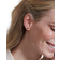 Edblad Sirius Studs - Gold