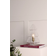 Globen Lighting Gran Clear Bordslampa 31cm