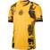 Nike Men's Inter Milan 2024/25 Stadium Third Dri-Fit Football Replica Shirt