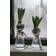 Ernst Bubbles Clear Vas 15cm