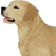 Papo Labrador 54029