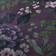 Dorma Giverny Damson Duvet Cover Green, Purple (230x220cm)