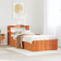 vidaXL Solid Wood Sengeramme 96.5x225.5cm