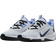 Nike Omni Multi Court Hallenschuhe - Grau