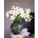 Interflora Lilja