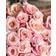 Interflora 20 Rosa Rosor