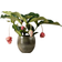 Interflora Rosenskärm