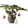 Interflora Rosenskärm