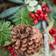 Dibor Festive Forage Wreath Green/Red Decoration 50cm