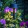 Dyberg Larsen Valencia Ground Lighting 80cm