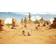 Sand Land Collectors Edition (XBSX)