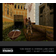 Tomb Raider Collection 1 - Evercade - Retro