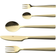 aida Raw Champagne Gold Bestickset 60st
