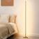 Wade Logan Calel Gold Floor Lamp 57.5" 2