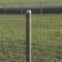 NSH Nordic Post Cap 7.3x7.3cm