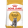 Royal Canin British Shorthair Adult 10kg