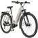 Fischer ATB Terra 4.0i 29" Greige Unisex