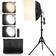 VEVOR Softbox Lighting Kit 16 in x 16 in 3000-6500K