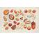 LUCAS Nuts & Seeds Counted Cross Stitch Kit