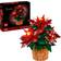 LEGO Icons Poinsettia 10370